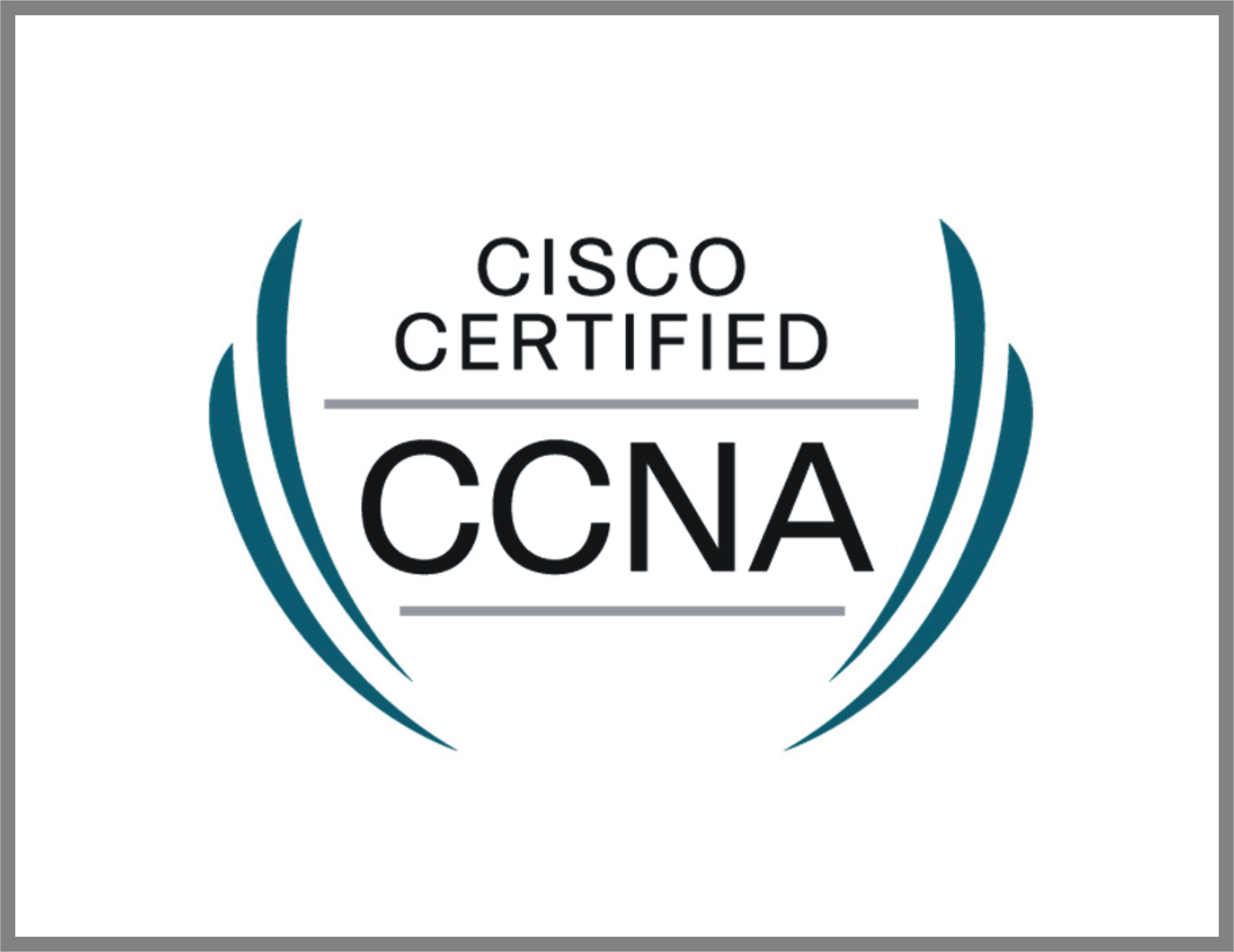 ccna institute in chennai